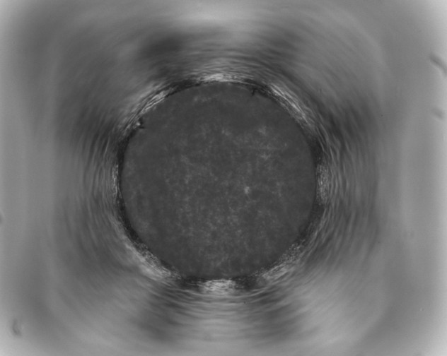 X0000094960410200712201205