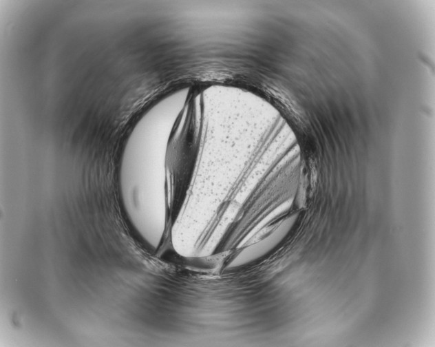 X0000094960411200712201205