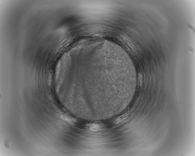 X0000094960412200712201205