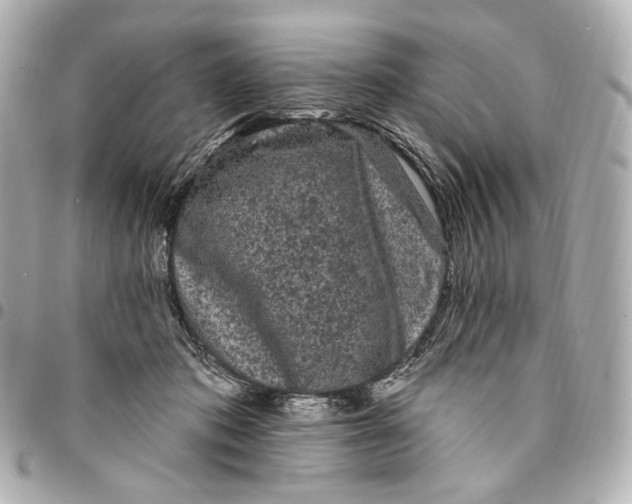 X0000094960413200712201205