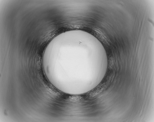 X0000094960414200712201205