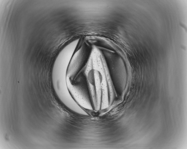 X0000094960415200712201205