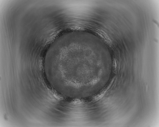 X0000094960416200712201205