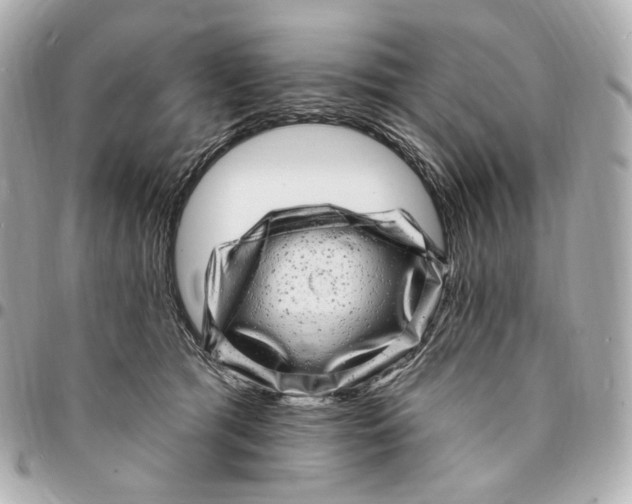 X0000094960417200712201205