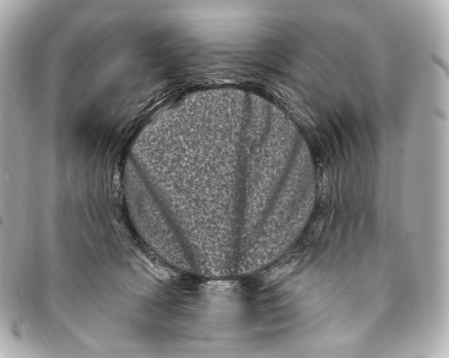 X0000094960418200712201205