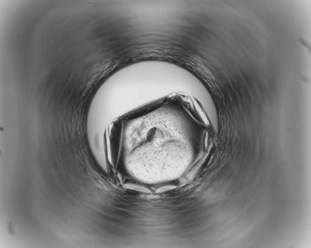 X0000094960419200712201205