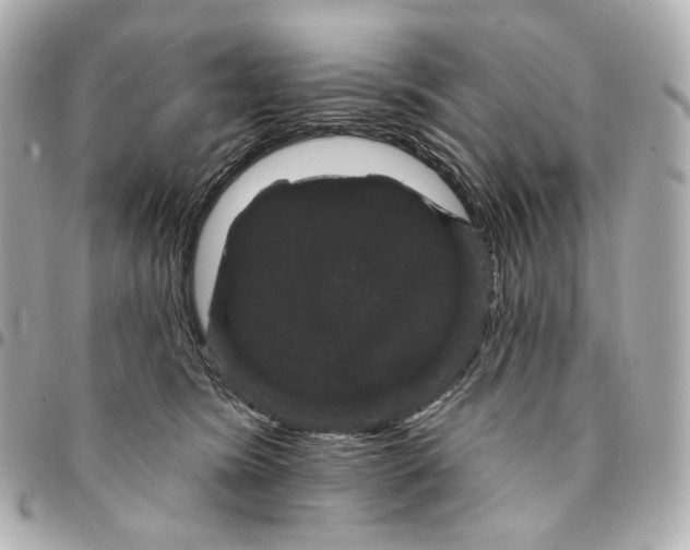 X0000094960420200712201205