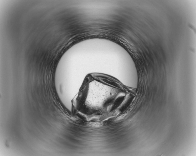 X0000094960421200712201205