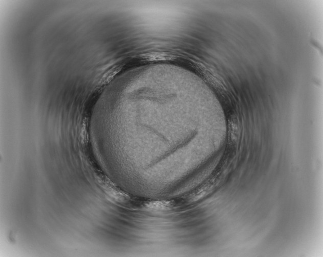 X0000094960422200712201205