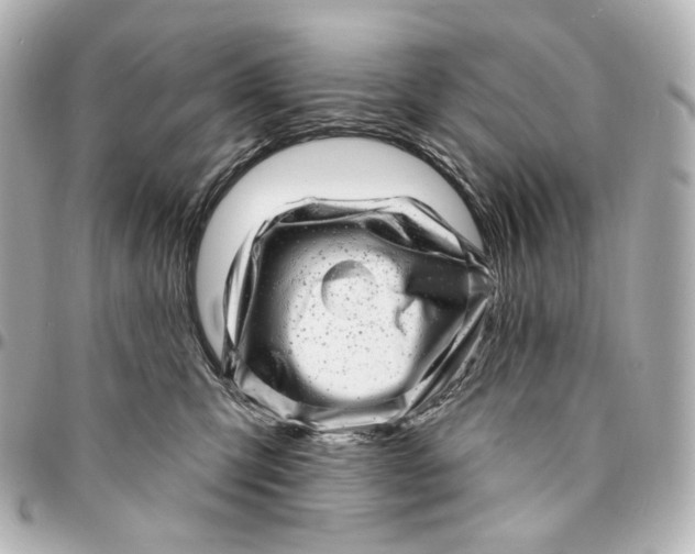 X0000094960423200712201205