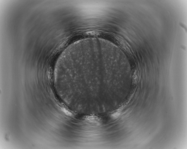 X0000094960424200712201204