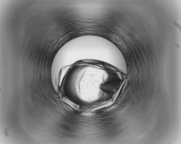 X0000094960425200712201204