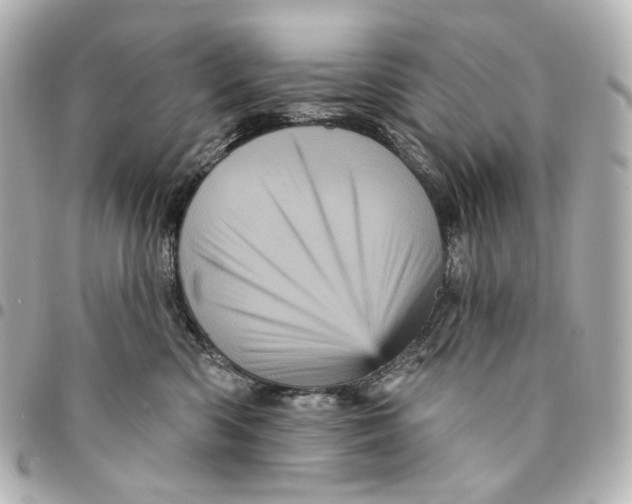 X0000094960426200712201204