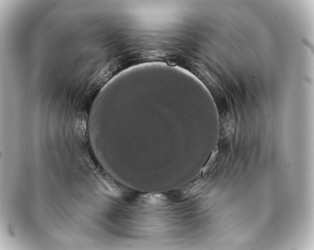 X0000094960427200712201204