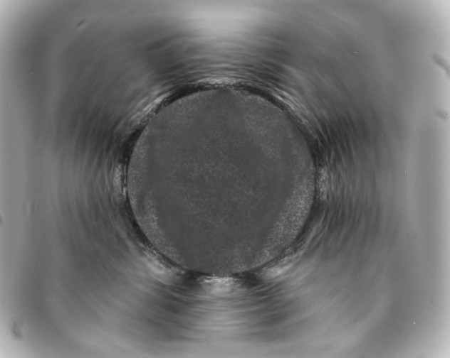 X0000094960428200712201204