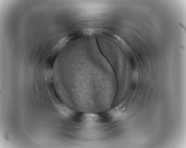 X0000094960429200712201204