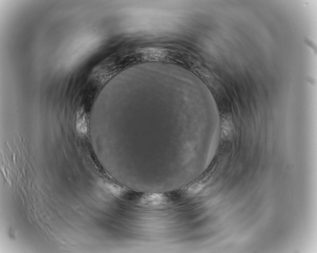 X0000094960431200712201204