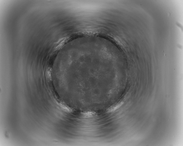 X0000094960432200712201204