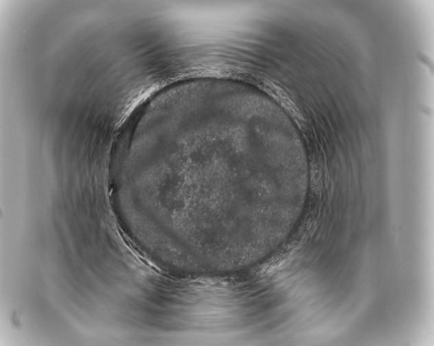 X0000094960434200712201204