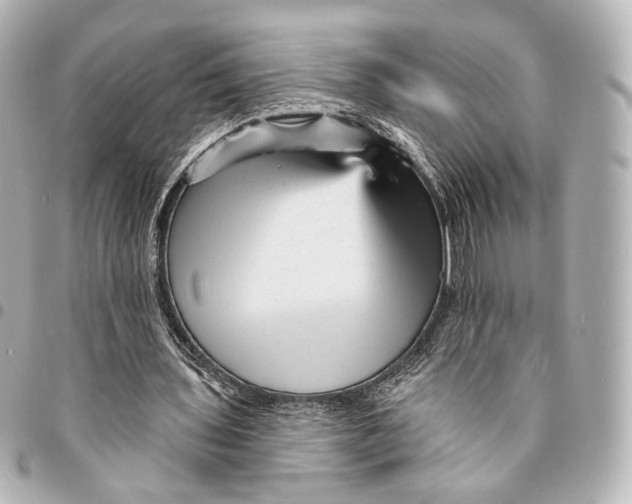 X0000094960435200712201204