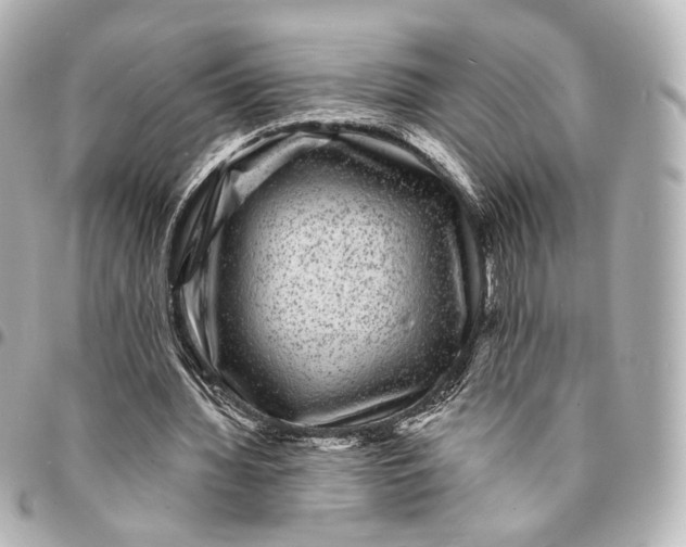 X0000094960436200712201204