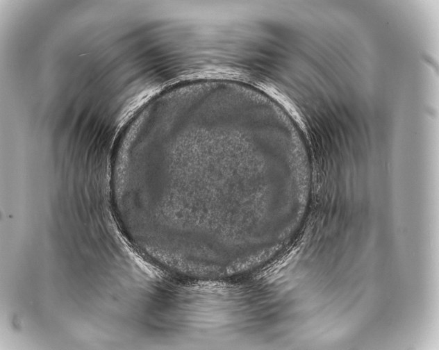 X0000094960437200712201204