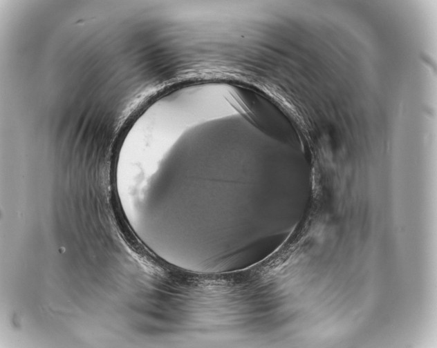 X0000094960438200712201204