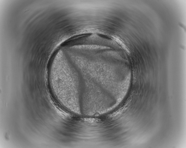 X0000094960439200712201204