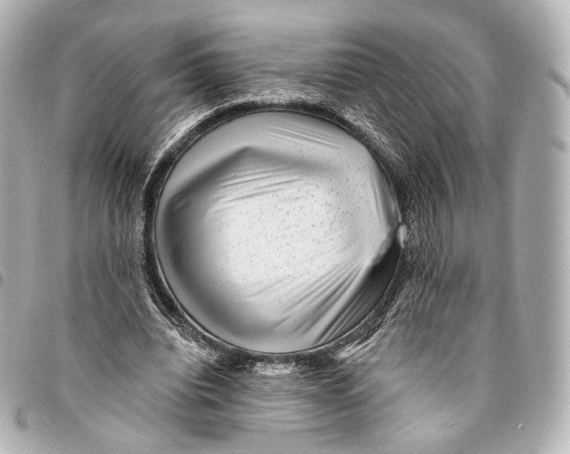 X0000094960440200712201204