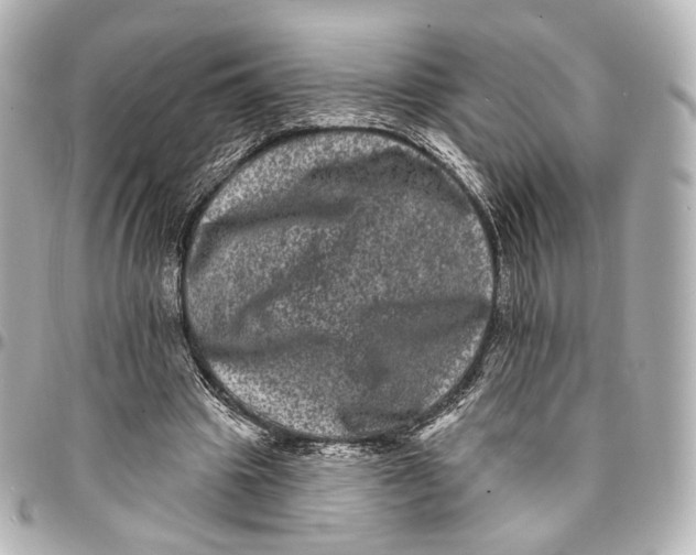 X0000094960441200712201204