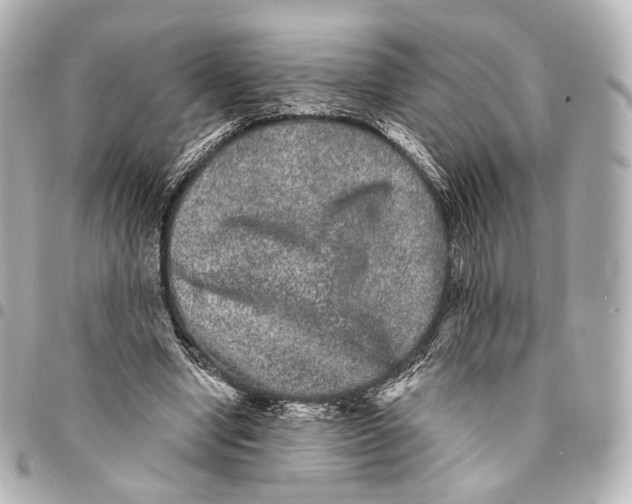 X0000094960442200712201204