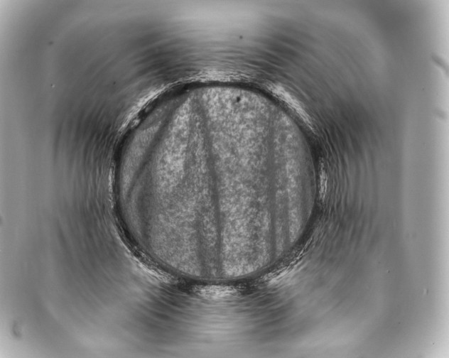 X0000094960444200712201204