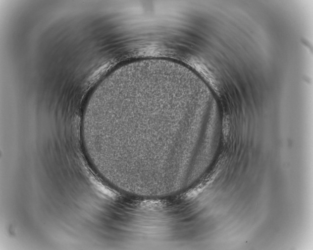 X0000094960445200712201204