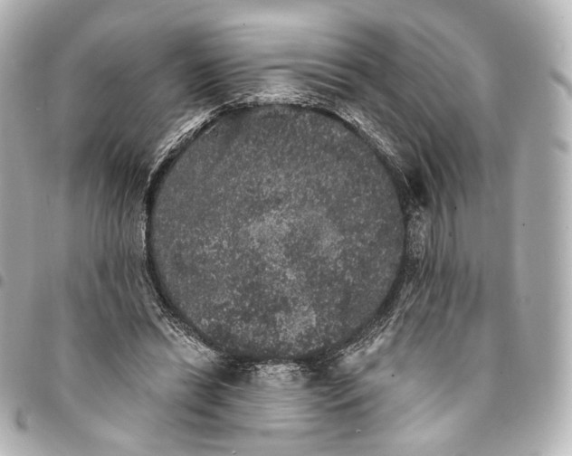 X0000094960446200712201204