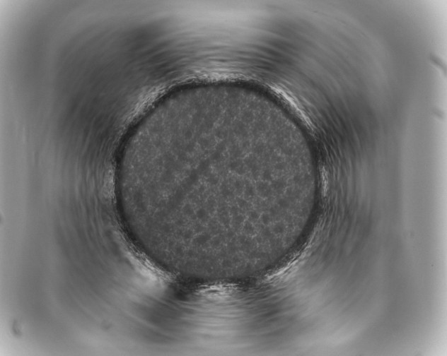 X0000094960447200712201204