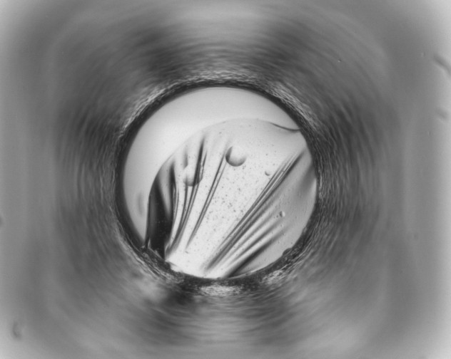 X0000094960448200712201204