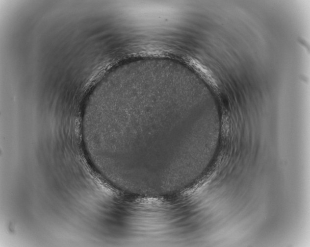 X0000094960449200712201204