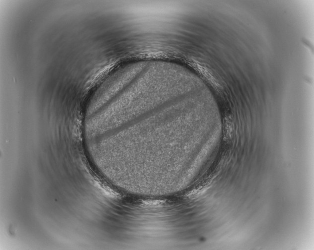 X0000094960450200712201204