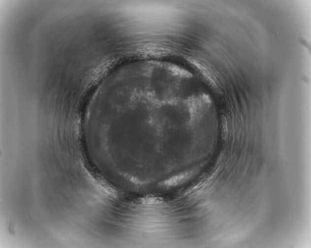 X0000094960451200712201204