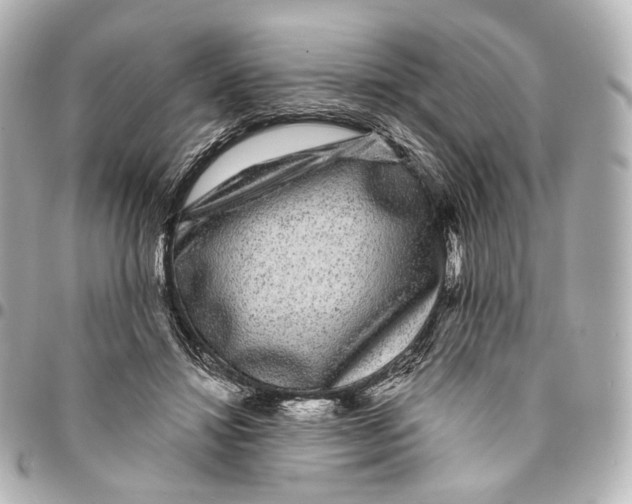 X0000094960452200712201204