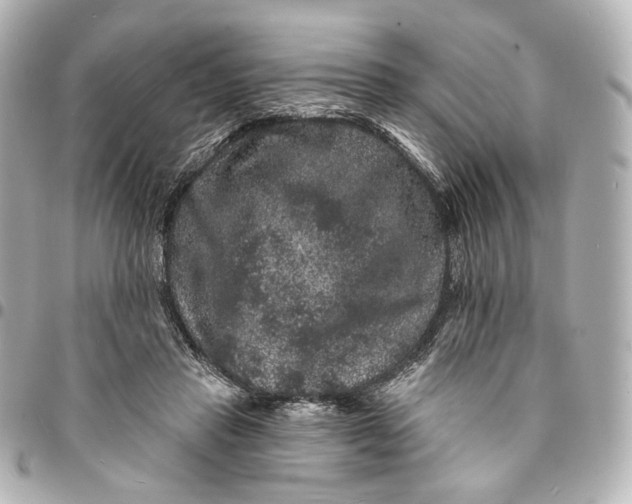 X0000094960453200712201204