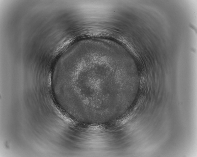 X0000094960454200712201204