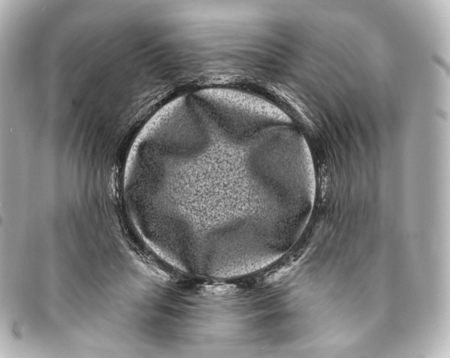 X0000094960455200712201204