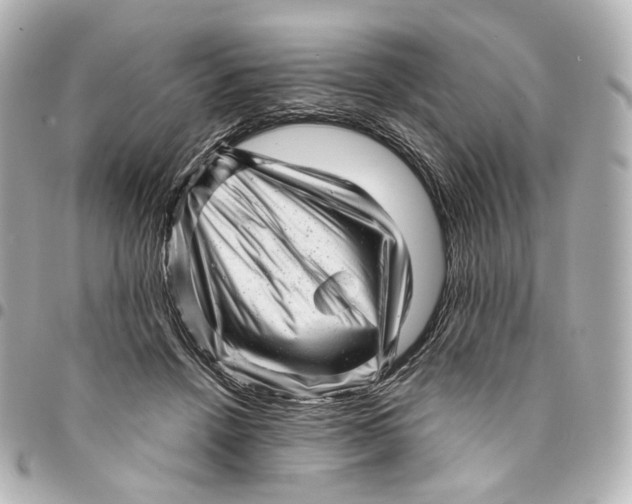 X0000094960456200712201204