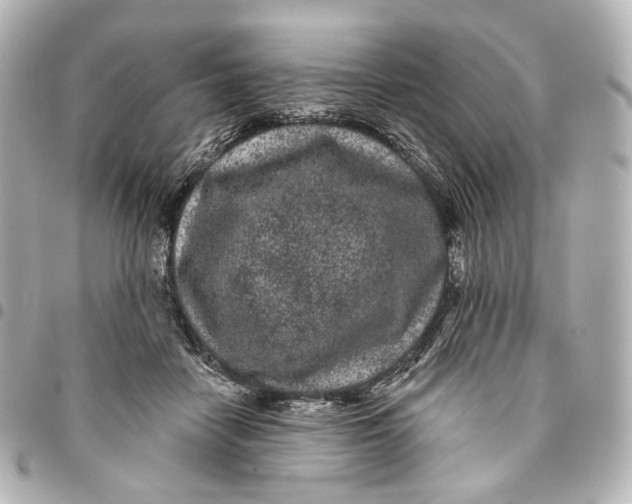 X0000094960458200712201204