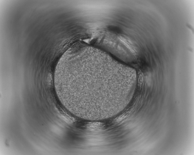 X0000094960459200712201204