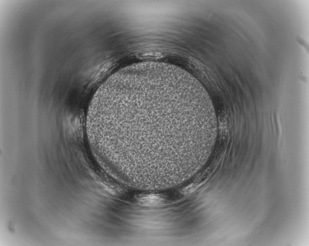 X0000094960460200712201204