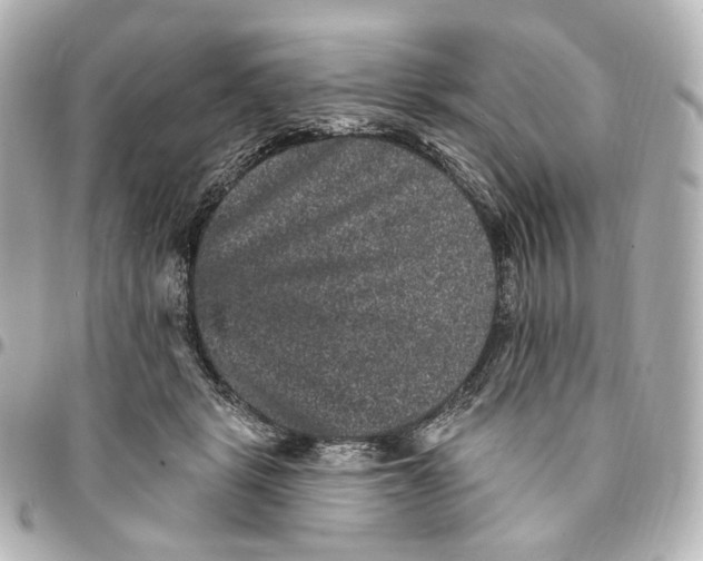 X0000094960461200712201204