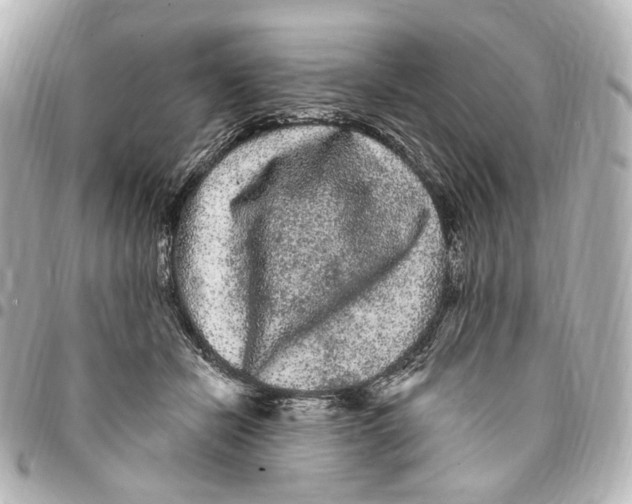 X0000094960462200712201204