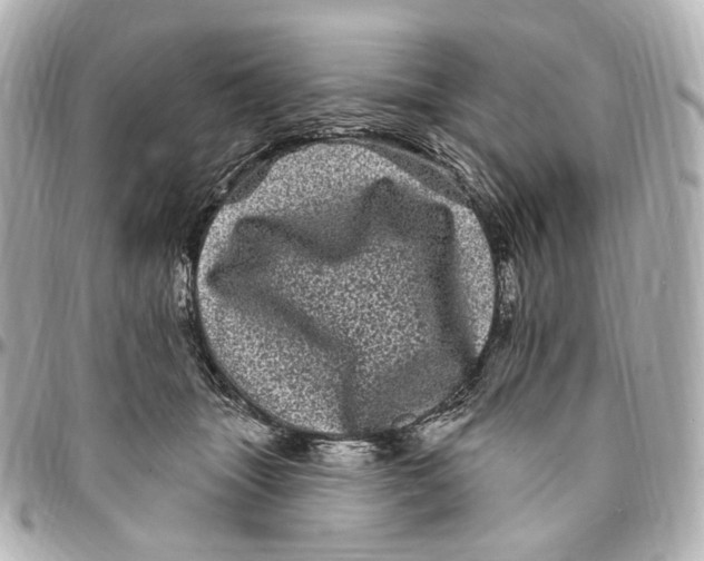 X0000094960463200712201204